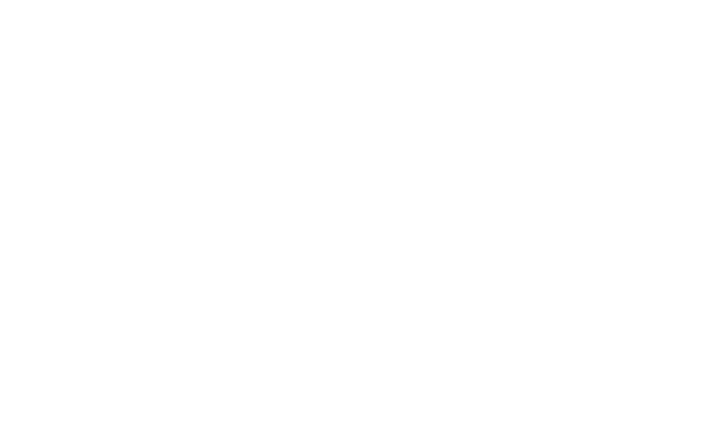 Da Silva Logo